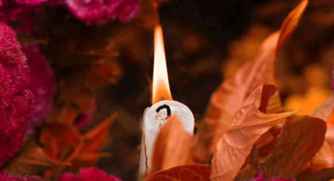 cremation service in Brookfield, IL